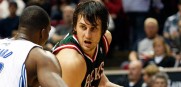 Andrew_Bogut_Bucks_2010_2