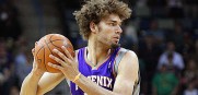 Robin_Lopez_Suns_2011_2