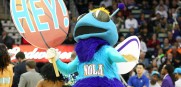 Hugo_Hornets_2012_1